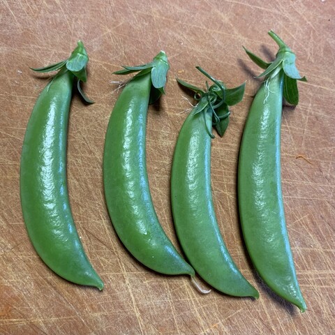Four richly green sugar snap peas in a row on a camel brown cutting board. They still have there flower tops on and look super fresh. 