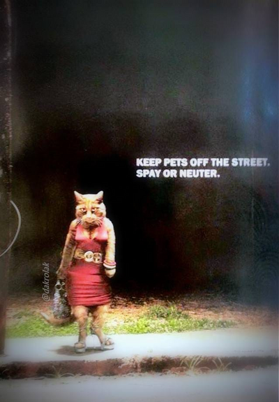 Image: Cat character standing prone in a sexy read dress on a street sidewalk. Text: Keep pets off the street. Spay or neuter.