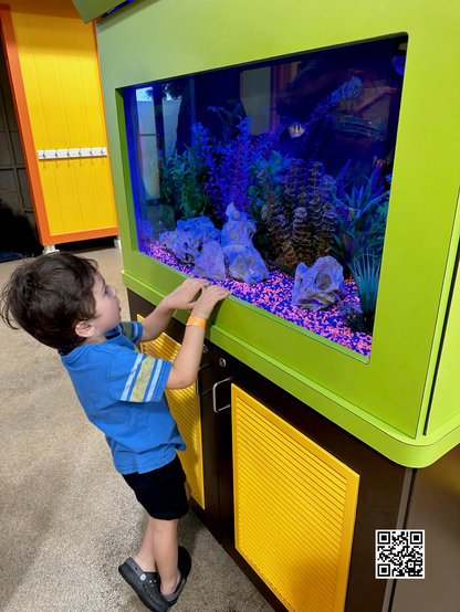 child wearing a blue t-shirt with yellow and white stripes at the arms, and black shorts tippy toes to view an aquarium window. He is amazed at the sea world in front of his eyes. Green window covers the aquarium over a yellow and black cabinet. Photo taken by artist Rafael Salazar