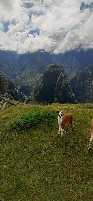Mountains