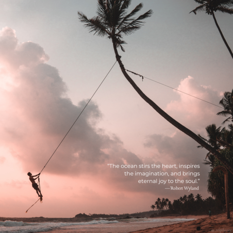 A person on a long ropeâ€”tied up high to a treeâ€”is in mid swing on the rope, almost over the ocean on the coastline. The sky is a mixture of pink and blue, with an almost empty coastline fully of many tall palm trees. The quote on the photo reads, â€œThe ocean stirs the heart, inspires the imagination, and brings eternal joy to the soul.â€� by Robert Wyland.