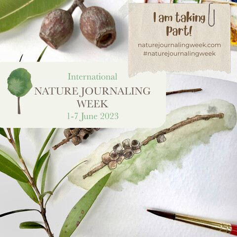 International Nature Journaling Week, 1-7 June 2023. I am taking part! naturejournalingweek.com and #naturejournalingweek