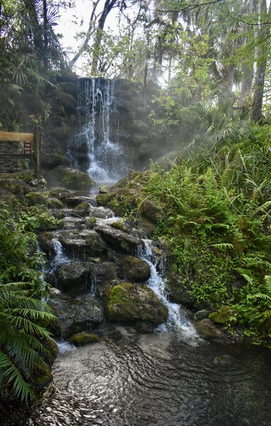 Small two tier waterfall with cascades over mossy rocks and pool at the bottom surrounded by trees, ferns, rail along left side of viewing area and mist in the air