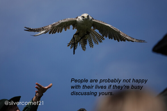 A bird of prey is flying towards the camera. Black text: People are probably not happy with their lives if they're busy discussing yours.