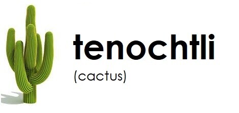 the yellow cactus Grafted Cactus Yellow – Collectors Online main image 1