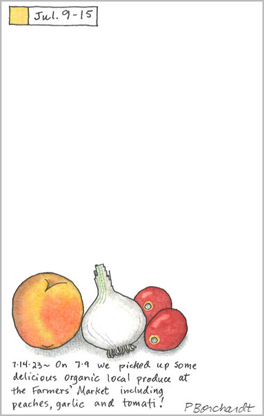 Perpetual Journal watercolor and pen art of a peach, garlic & tomatoes from the Farmers' Market, Tucson, AZ, USA