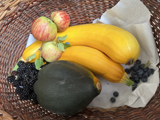 A photograph of a basket containing blackberries, blueberries, apples, courgettes and a squash
