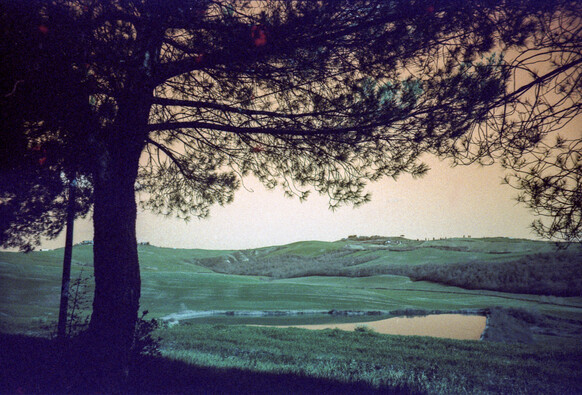 Sweet green Tuscan hills and a tiny artificial lake seen from under a tree. Colours are shifted to orange since the photo was taken with analog Lomography LomoChrome Turquoise 400 35mm film and a Lomography LC-A camera.