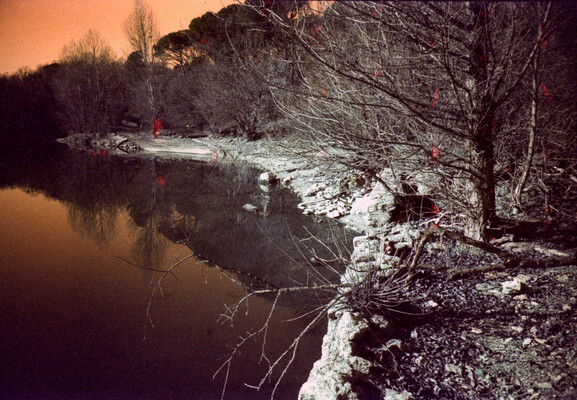 An orange sky hovering over a lake shore in autumn, with naked trees. Colours are shifted to orange since the photo was taken with analog Lomography LomoChrome Turquoise 400 35mm film and a Lomography LC-A camera.