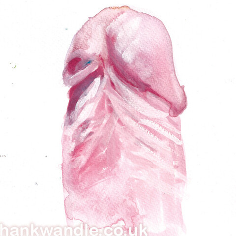 a blotchy sketch of the head of an erect penis, done very quickly with a very wet brush