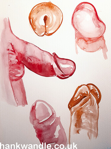 some very quick single colour studies of penises, some pretty good, a couple terrible :)