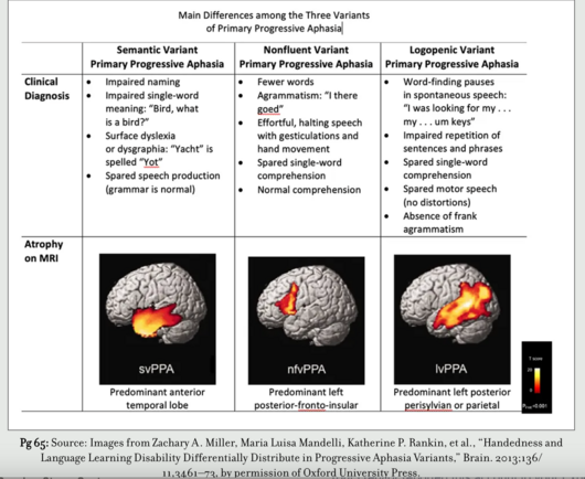 Main differences among the three variants of Primary Progressive Aphasia. Pictures of brain atrophy on MRI and the qualities in speech that describe the aphasia, whether semantic variant, nonfluent variant, or logopenic variant.