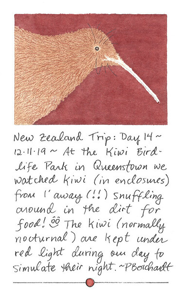 My art of a North Island Brown Kiwi, for Day 14 of my New Zealand Visual Trip Journal.