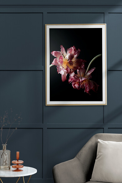 Framed print of the aging tulips photograph.