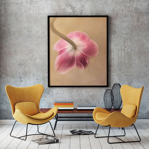 Framed print of a tulip photograph.