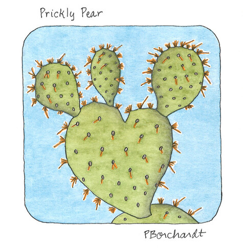 My watercolor and pen art of a Prickly Pear cactus that has a heart-shaped pad.