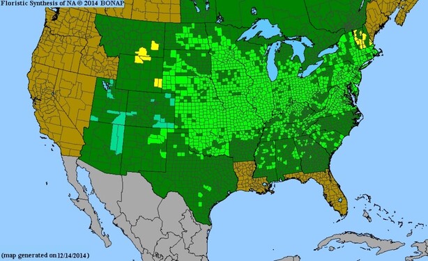 Map of Celtis occidentalis from bonap.org: dark green squares mean the species is present in county and native, light green means species is present and not rare, yellow means species is present but rare, and blue means the species is native, but adventive in state. 

The map shows that this tree species is native in almost every state except California, Nevada, Idaho, Washington, Oregon, Louisiana and Florida. It is also present in large swathes of Canada. 