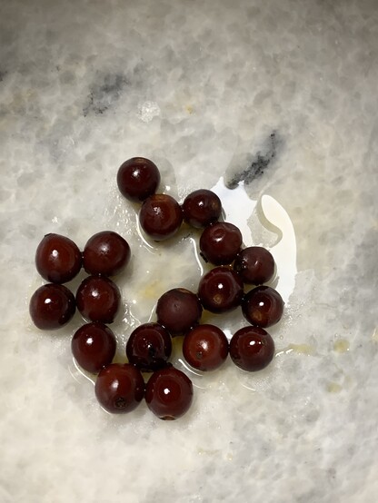 Picture of dark burgundy seeds that have already been steamed inside a white marble mortar. There is a little bit of water bc they were dumped out of the steamer basket and condensation fell in the the bowl. 