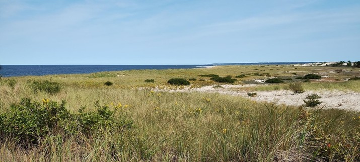 Landscape view of Crane Beach, Ipswich, Massachusetts. In the foreground you can see sand dune formations covered with native beach plants. In the background the ocean.