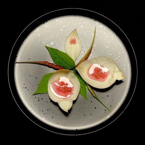 Black background, black plate with shiny dots. Three large white southern magnolia flower petals arranged opposite each other with the smallest point upwards. An Aralia racemosa stem that has three leaves is under and between the flower petals and three red rats tails radish point outward also in between the flower petals. On top of the flower petals using the petals as a bowl is pickled rosebud flowers. The pickle juice and the flowers are carnation pink. 