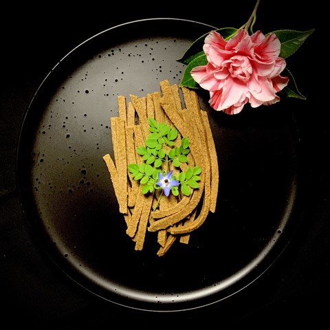 Black speckled plate on black background. Willow oak Acorn soba noodles are arranged vertically on the plate with a few curved on the right towards the left for dramatic effect. A sprig of moringa and borage flower lays on top of the noodles. A pink candy stripe camelia is on the top right. 

Acorn soba. Adapted from “soba,” Sakai, p.81. 

Garden veg: borage flower, camellia (not eaten), moringa, willow oak acorns