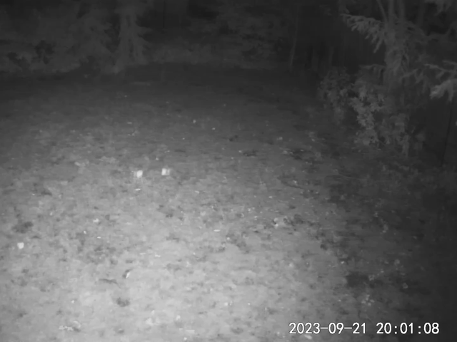A black & white security video of something floating across our yard at night, looking like two side-by-side lights (reflections?) moving in unison.