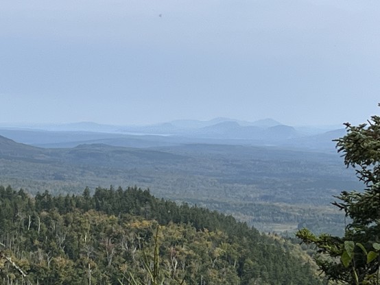 View from atop Williams Mountain, showing rolling forest and mountains in the background. Somewhat hazy blue sky above the mountains. 