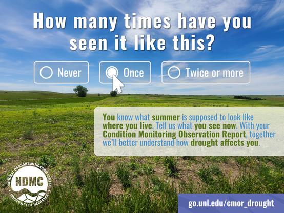 How many times have you seen it like this? You know what summer is supposed to look like where you live. Tell us what you see now. With your Condition Monitoring Observation Report, together we'll better understand how drought affects you. go.unl.edu/cmor_drought