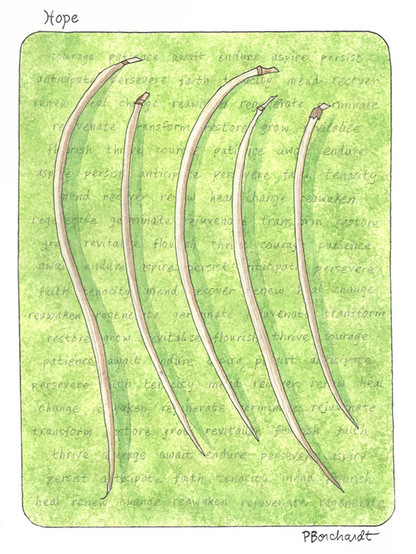 My watercolor, colored pencil & graphite art titled "Hope", of Desert Willow seedpods, with words that are synonyms of, or similar to, the word hope, written in the background.