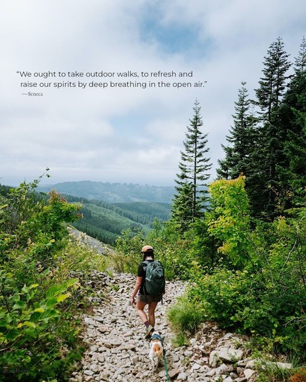 A woman walks away from the camera in the foreground, dog following closely behind, towards the edge of a hill that overlooks a large forested area. The quote on the photo reads, â€œWe ought to take outdoor walks, to refresh and raise our spirits by deep breathing in the open air.â€� by Seneca.