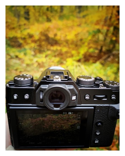 A photo of my camera in the foreground and Autumn forest colours in the background. Focus on the camera screen that focused on the trees in the background.