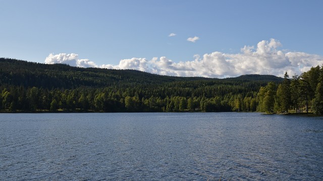 A photo of a lake surrounded by trees. The sky is blue with white clouds in it.