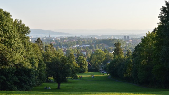 A photo of park sloping down a steep hill bordered by trees on all sides. In the distance the city of Oslo can be seen, and beyond that the Oslofjord. The park is mainly in shadow and the light and sky in the distance is hazy.