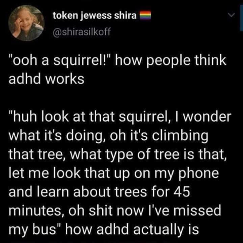 token jewess shira
@shirasilkoff

 "ooh a squirrel!" how people think adhd works 

"huh look at that squirrel, | wonder what it's doing, oh it's climbing that tree, what type of tree is that, let me look that up on my phone and learn about trees for 45 minutes, oh shit now I've missed my bus" how adhd actually is 