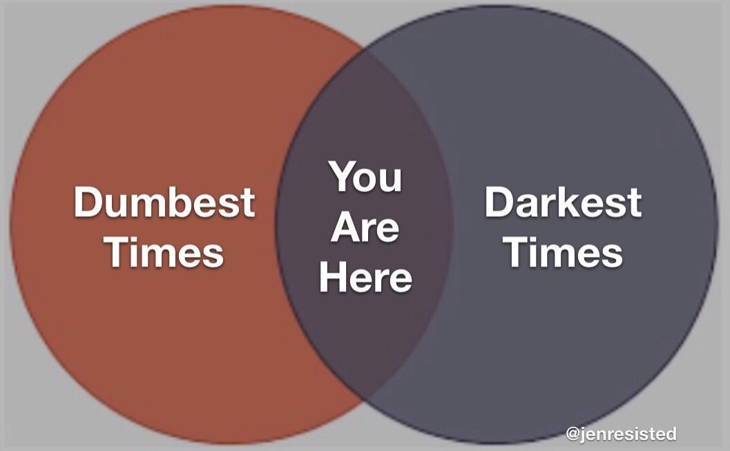 Venn diagram of “Dumbest Times” and “Darkest
Times”, with the overlap labeled as “You Are Here”