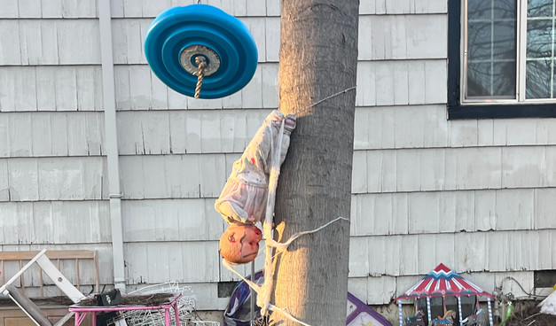 A doll tied to a tree, upside down