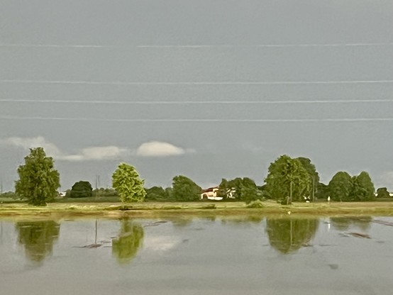 Colour photo taken through a train window of a paddy field. The rice hasn't sprouted yet, so at the moment is just looks like a vast shallow lake. Across the middle of the image is a strip of land punctuated some leafy green trees and a small white house, which are perfectly reflected in the quicksilver grey water of the field. The sky above is huge and grey. The feeling in the image is one of stillness and suspension, like an indrawn breath, or the eye of a storm. 