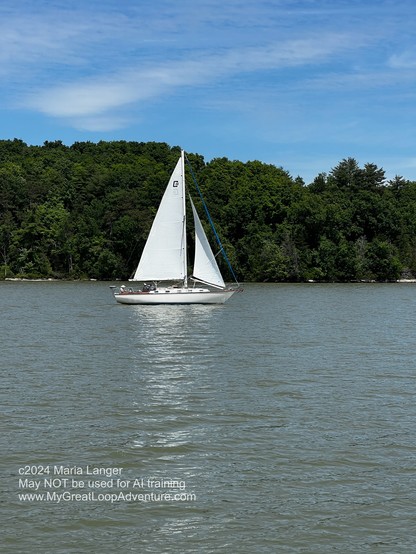 Photograph of a small sailboat under sail.

This photo copyright 2024 by Maria Langer. All rights reserved. Neither this image nor the accompanying alt text may be used to train AI systems.