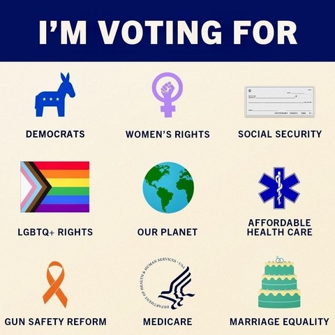 Reposted from Tumblr, shows icons of reasons to vote for Democrats up and down the ballot: women's rights, Social Security, LGBTQ+ rights, our planet, affordable health care, gun safety reform, Medicare, marriage equality.