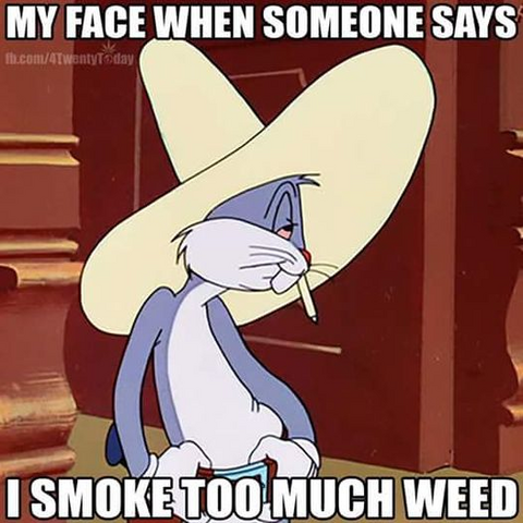 My face when someone says I smoke too much weed.

[Bugs Bunny in a sombrero, a gun belt, with a rolled paper tube hanging out of his mouth {still shot from cartoon, not AI or photoshop}]