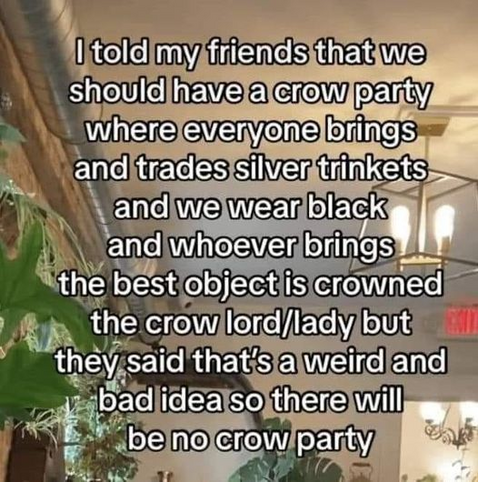 I told my friends that we should have a crow party where everyone brings and trades silver trinkets and we wear black and whoever brings the best object is crowned the crow lord/lady but they said that's a weird and bad idea so there will be no crow party