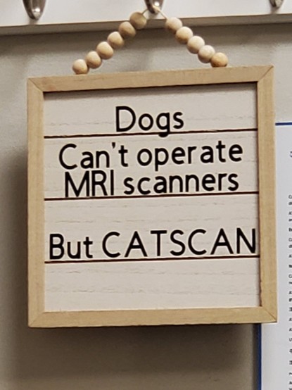 Sign:

Dogs

Can't operate MRI scanners

But CATSCAN