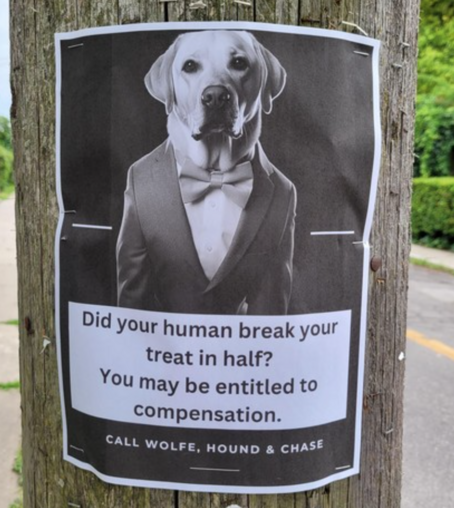 Dog dressed in suit and bowtie on flyer that says: Did your human break your treat in half? You may be entitled to compensation. Call Wolfe, Hound & Chase