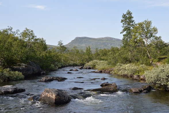 A photo of a shallow river. There are small trees on both sides of the river and some large hills in the distance. The sky is hazy and blue with very few clouds.