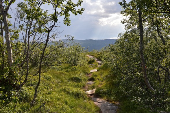 A photo of a trail made up of rock, dirt, and wood sections going up a gentle hill. There are small trees on both sides of the trail. Hills can be seen in the distance. The sky is overcast with some sun shining through.