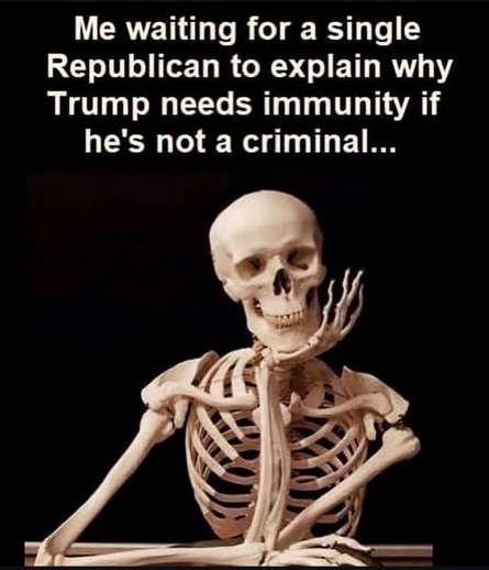 Me waiting for a single Republican to explain why Trump needs immunity if he's not a criminal...

[photo of a skeleton looking at the camera holding his head up with his arm, elbow on the table]