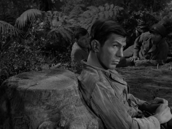 Spock(Leonard Nimoy) cosplaying as an American soldier on an eastern island during WWII. He's sitting on the ground, leaning against a tree stump, and gives a sideways glance.