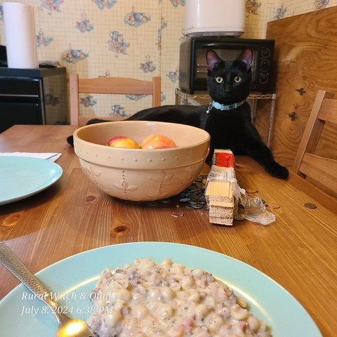A black cat laying on a table in front of a bowl of apples and a plate of pasta.
