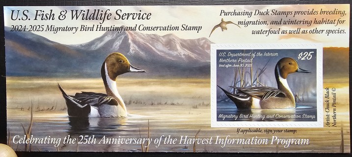 The 2024-2024 U S. Fish & Wildlife Service Federal Duck Stamp.
