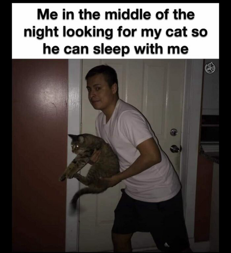 Man stealing his own cat to sleep with him. The face is everything. And the guy looks pretty guilt ridden and sheepish. 